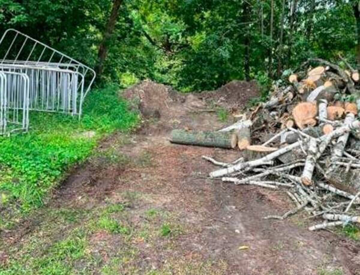В Брянске чиновников заставят убрать строительный мусор в парке «Соловьи»