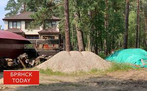 Брянским фермерам сохранят налоговые льготы