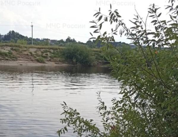 В Брянске в реке Десна утонул мужчина 