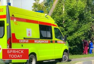 Иномарка влетела в повозку под Дятьково: погибли мужчина и 7-летний мальчик