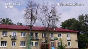 800 сухих деревьев угрожают безопасности жителей Брянска