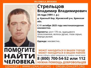 В Брянской области бесследно исчез 34-летний Владимир Стрельцов
