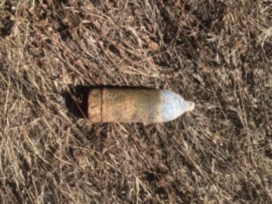 Под Брянском в лесу нашли 5 артиллерийских снарядов