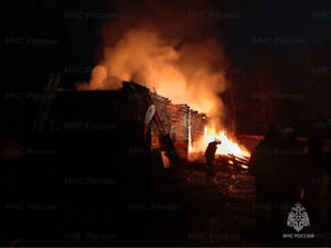 Огонь уничтожил жилой дом в Навлинском районе