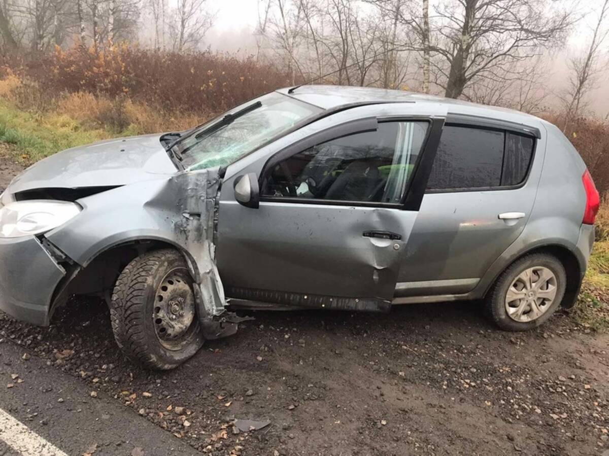 На брянской трассе 38-летняя автоледи протаранила столб и разбила голову