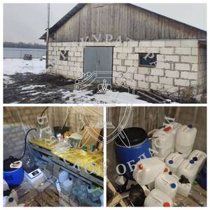 Два иностранца приехали на Брянщину и угодили за решётку на 16 лет