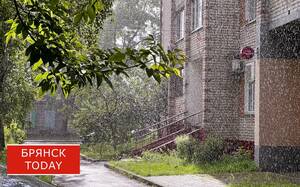 В Брянской области ожидается ухудшение видимости из-за дождя