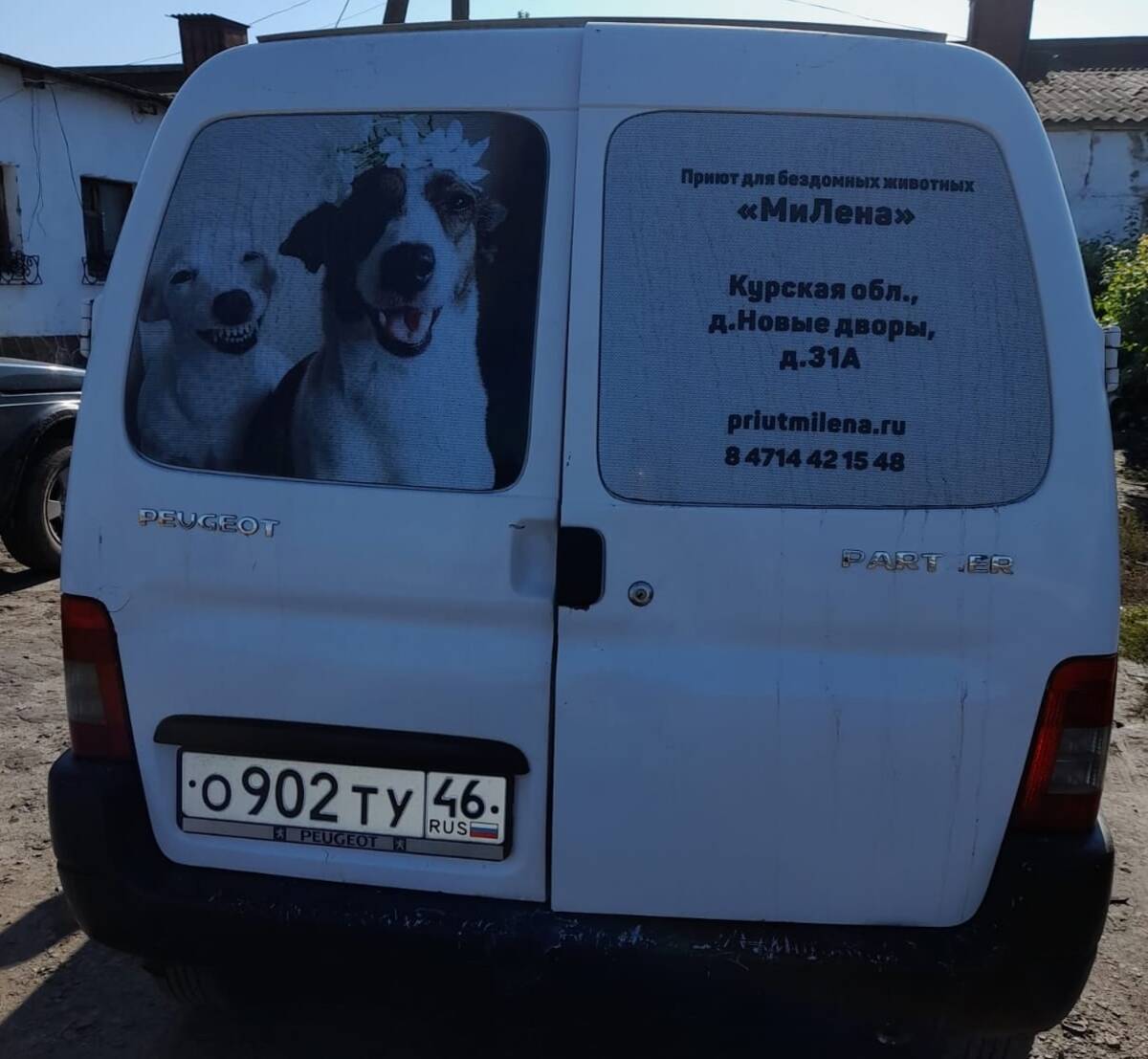 В Брянской области отловом бездомных собак займутся сотрудники курского  приюта «Милена»