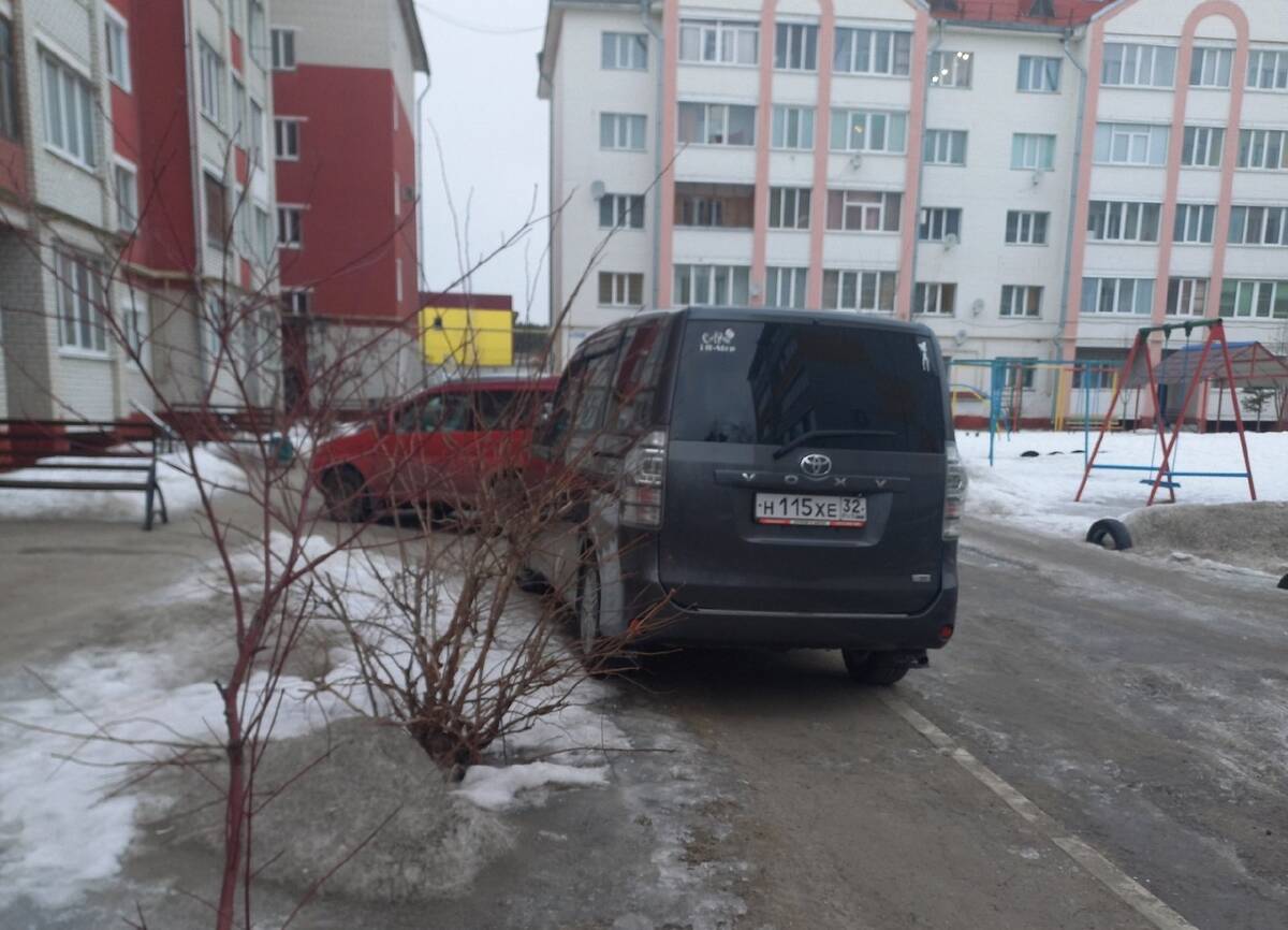 Брянцев возмутила хамская парковка на тротуаре