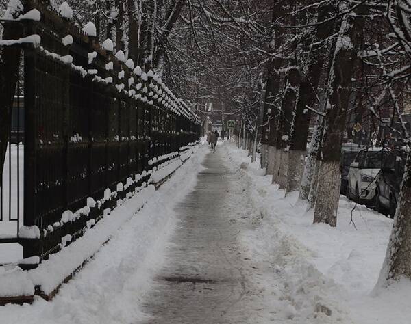 С улиц Брянска за пять дней вывезли более 700 тонн снега
