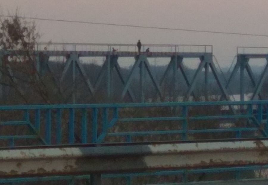 В Брянске малолетние экстремалы забрались на вершину моста
