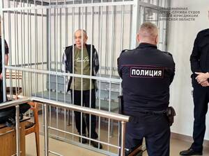 Смерть на обочине: дятьковский суд вынес приговор сбежавшему водителю