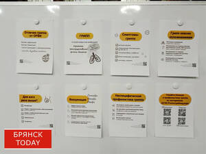 В Брянской области резко ухудшилась эпидситуация по гриппу и ОРВИ