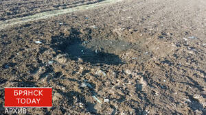 Под обстрелами и в непогоду: брянские аграрии не снизили урожай