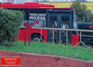 Брянский суд арестовал 19-летнюю пособницу мошенников из Амурской области
