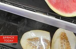 В гипермаркете Брянска в дынях обнаружили смертельное превышение нитратов