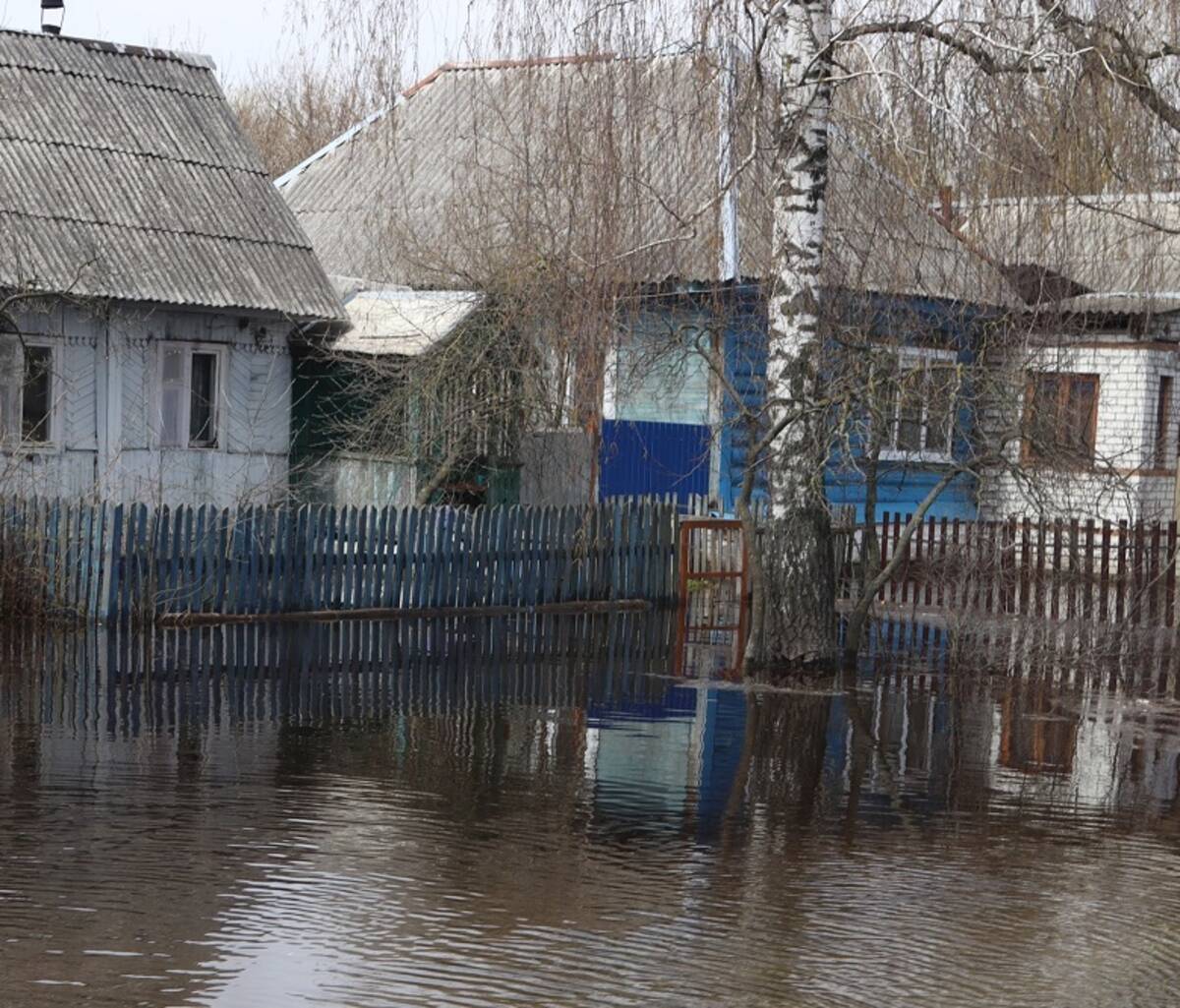 Паводок в брянске сегодня