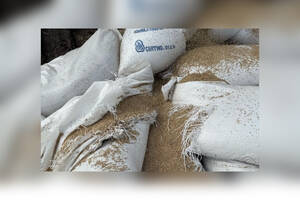В Брянской области уничтожили 2,7 тонны семян неизвестного происхождения