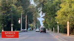 В Стародубе водитель сбил женщину на пешеходном переходе