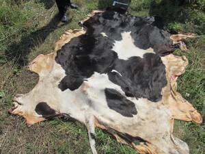 В Карачевском районе задержали орловца за кражу и убийство животного