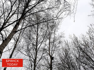 Брянщина пережила одиннадцатичасовой режим беспилотной опасности