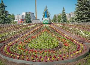 На въезде в Брянск зацвела Жар-птица
