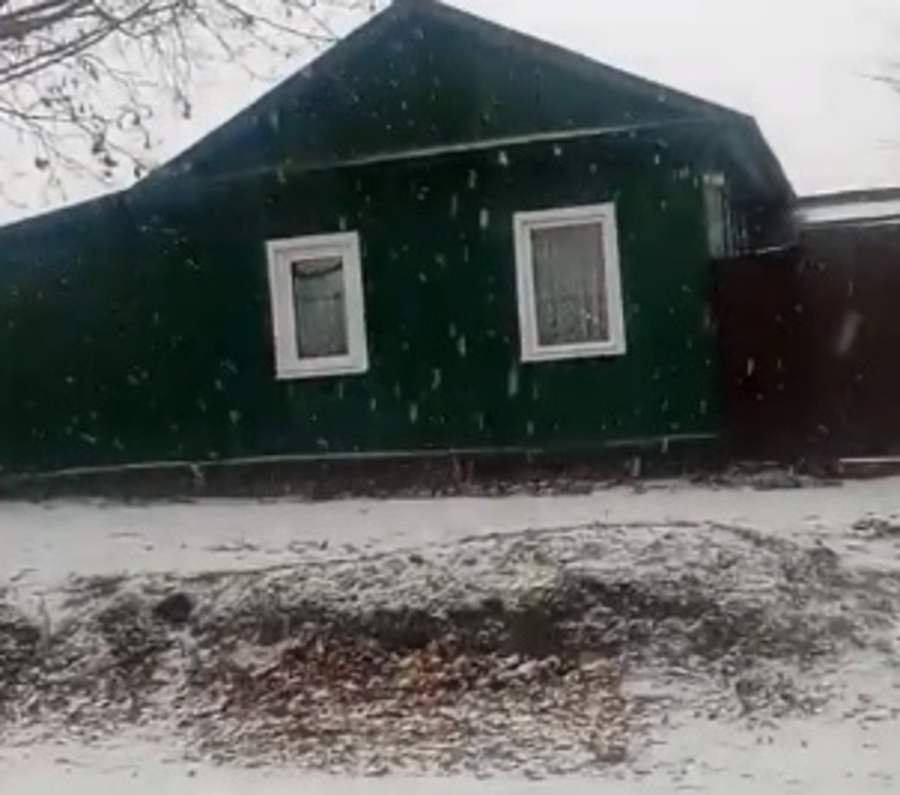 В Новозыбкове сняли на видео сильный снегопад