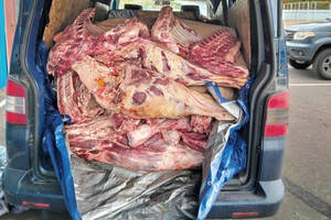 На Брянщину пытались провезти две тонны сомнительной говядины