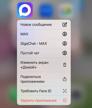 Российская платформа Max заменит 