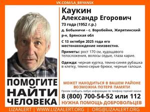 В Брянской области пропал 73-летний Александр Каукин с потерей памяти 