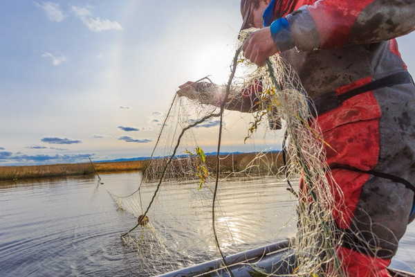 В Клинцах рыбак незаконно выловил 90 карасей