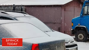 «От минус пяти до плюс двух»: брянцам сообщили о погоде на 20 декабря