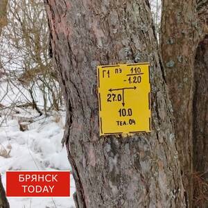 Брянский суд обязал бизнесмена зарегистрировать газопровод из-за риска взрыва