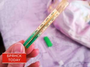 В Брянской области усиливают противоэпидемические меры в связи с ростом случаев гриппа