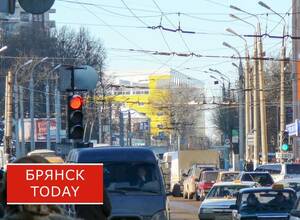 Брянцам могут повысить штрафы за перевозку детей без автокресел