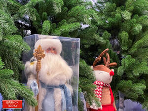 Что россияне хотели бы изменить в новогодних подарках?