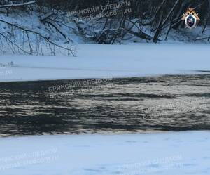 Стали известны подробности гибели женщины в реке Десне в Брянске