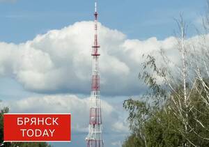 ВСУ пытались водрузить украинский флаг в приграничье Брянской области