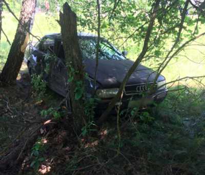 Под Стародубом автоледи на «Audi» протаранила дерево: ранена 6-летняя девочка