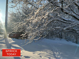 Брянцам рассказали, когда отступят крепкие морозы