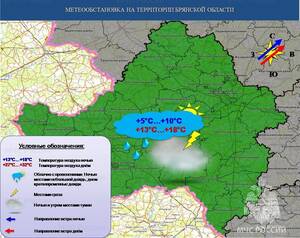 Брянщину окутает туман перед грозой