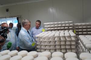 Жуковский молокозавод захватил половину рынка элитных сыров России