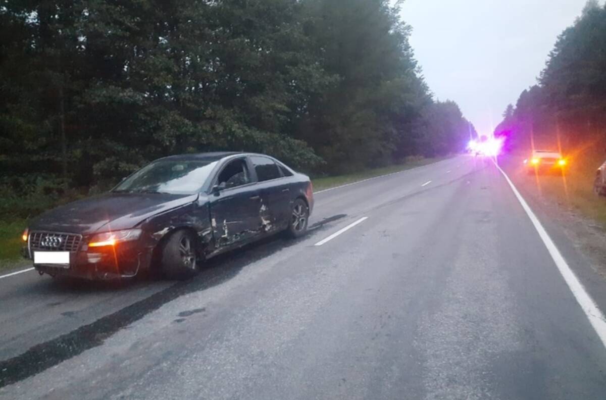 Под Дятьково пьяный водитель протаранил Audi, вылетел в кювет и  перевернулся | 29.08.2023 | Брянск - БезФормата