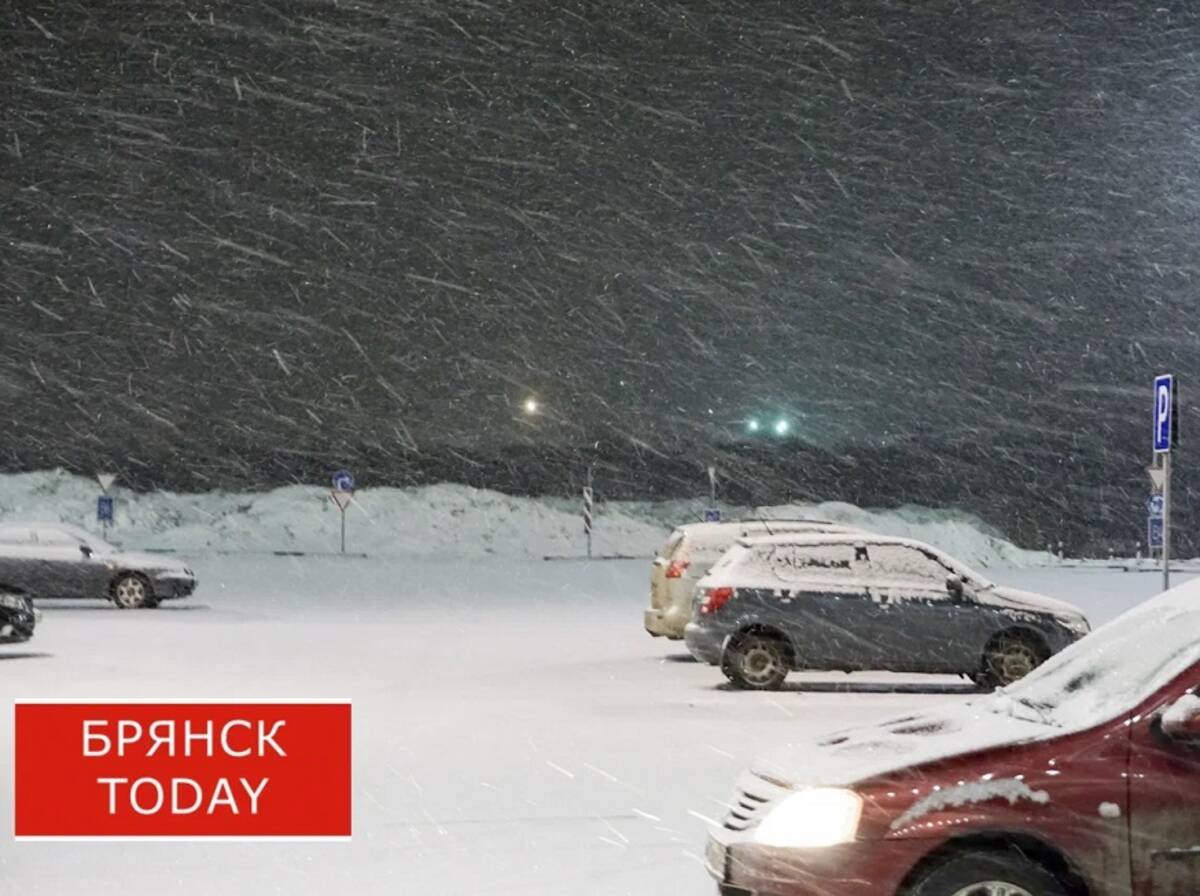 В Брянской области на битву со снегом выйдут 540 машин