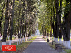 Более 67 000 брянцев проголосовали за новые парки и скверы