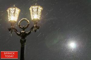 Брянцам рассказали, как Киев использует энергоколлапс для обогащения элит