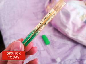 Заболеваемость гриппом и ОРВИ в Брянской области пошла на спад