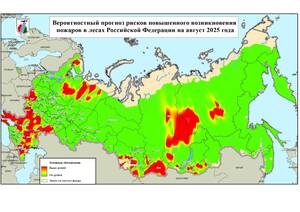 Брянскую область предупреждают о повышенной пожарной опасности в августе