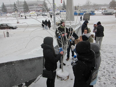 В Брянске украсили «морозные деревья» на бульваре Гагарина