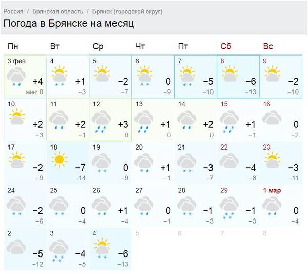 С середины недели в Брянске установится по-настоящему зимняя погода